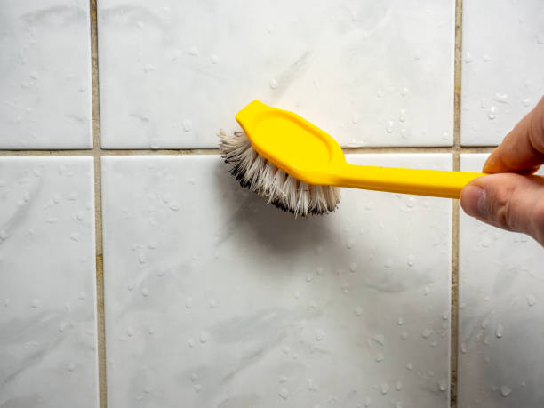 Best Office Mold Removal Services  in Kingston, TN