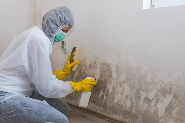 Crawl Space Mold Removal in Kingston, TN